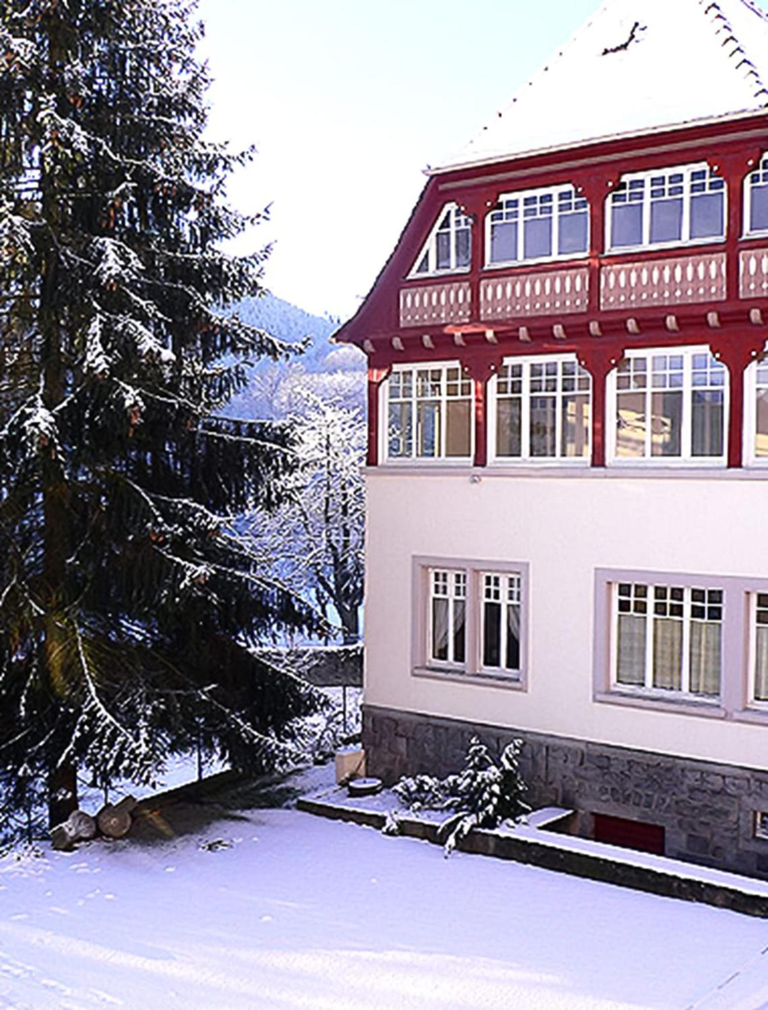 Villa Du Sendenbach Muhlbach-sur-Munster Exterior foto
